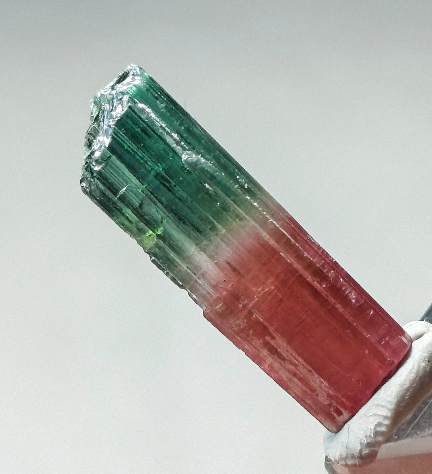 Bi colour non terminated tourmaline crystal -7 Carats