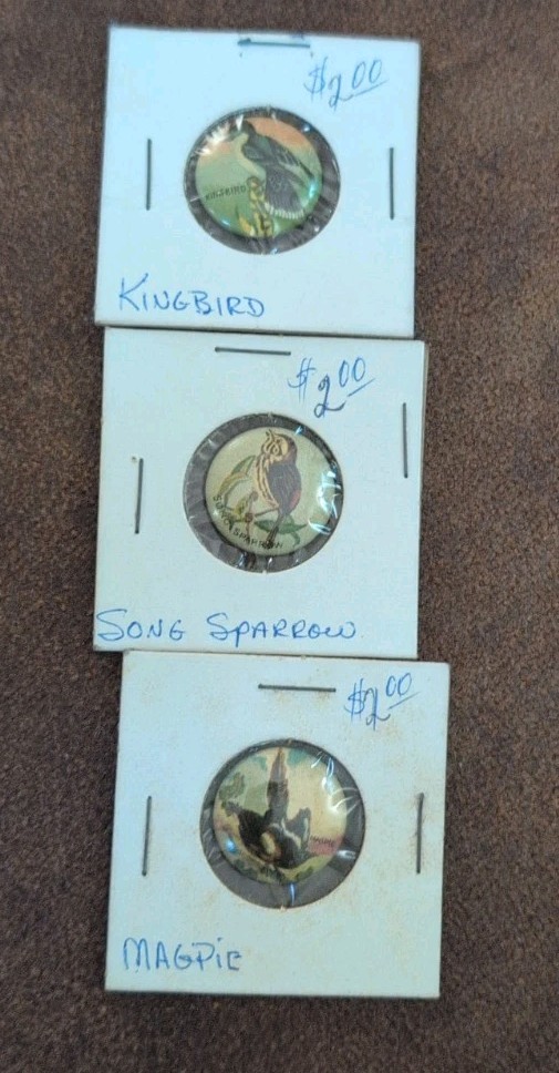 Vintage 1920s Chicago Bird Button Lot Of 3 Magpie Kingbird SongSparrow geraghty Vintage 1920s Chicago Bird Button Lot Of 3 Magpie Kingbird SongSparrow geraghty