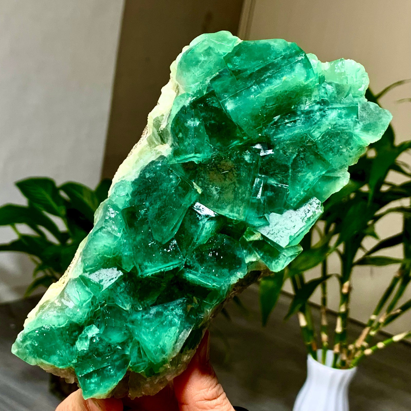 2.02LB Natural transparent green cubic fluorite mineral crystal sample/China