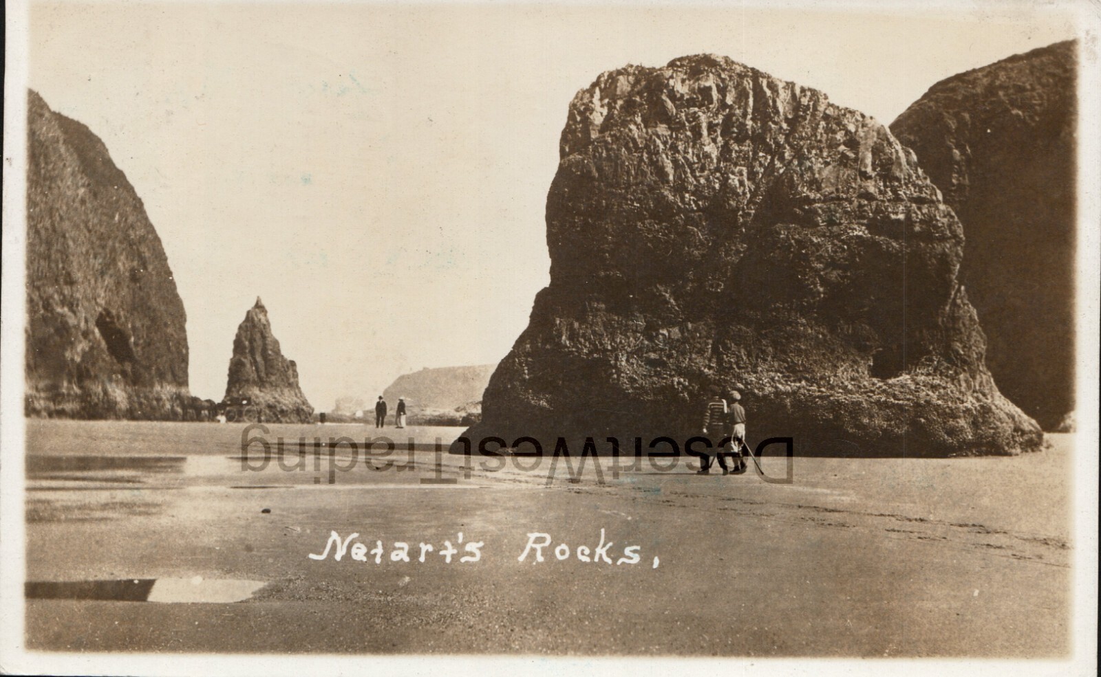 Netarts Rocks Oregon Coast RPPC Postcard Pmk 1916