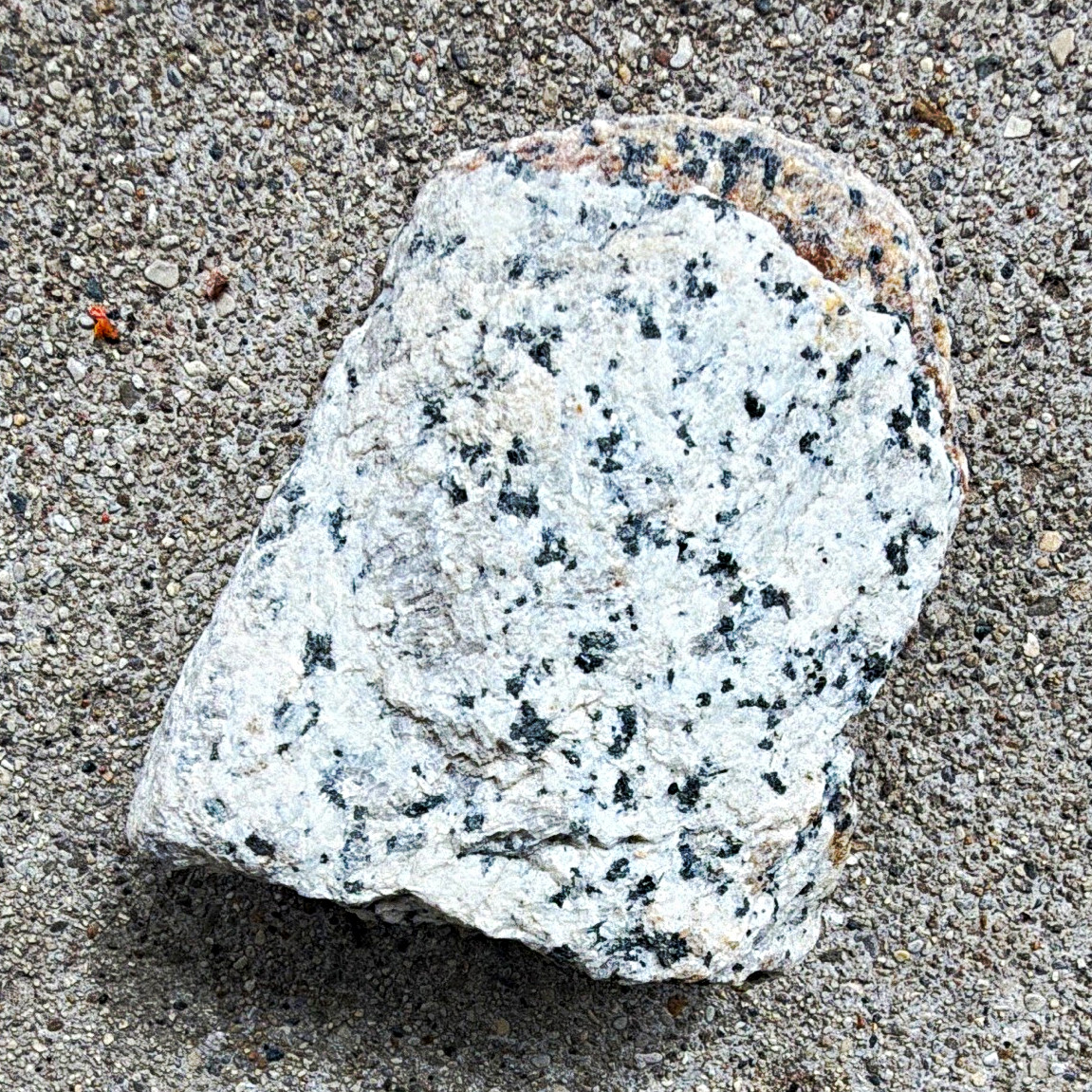 White & Black Speckled Mineral Rock Specimen, Rough Rock / Mineral Sample