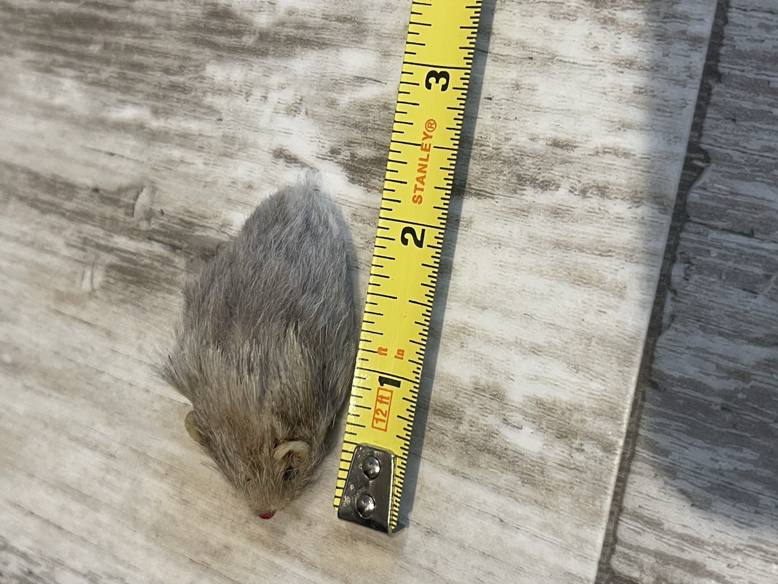 Vintage Mouse