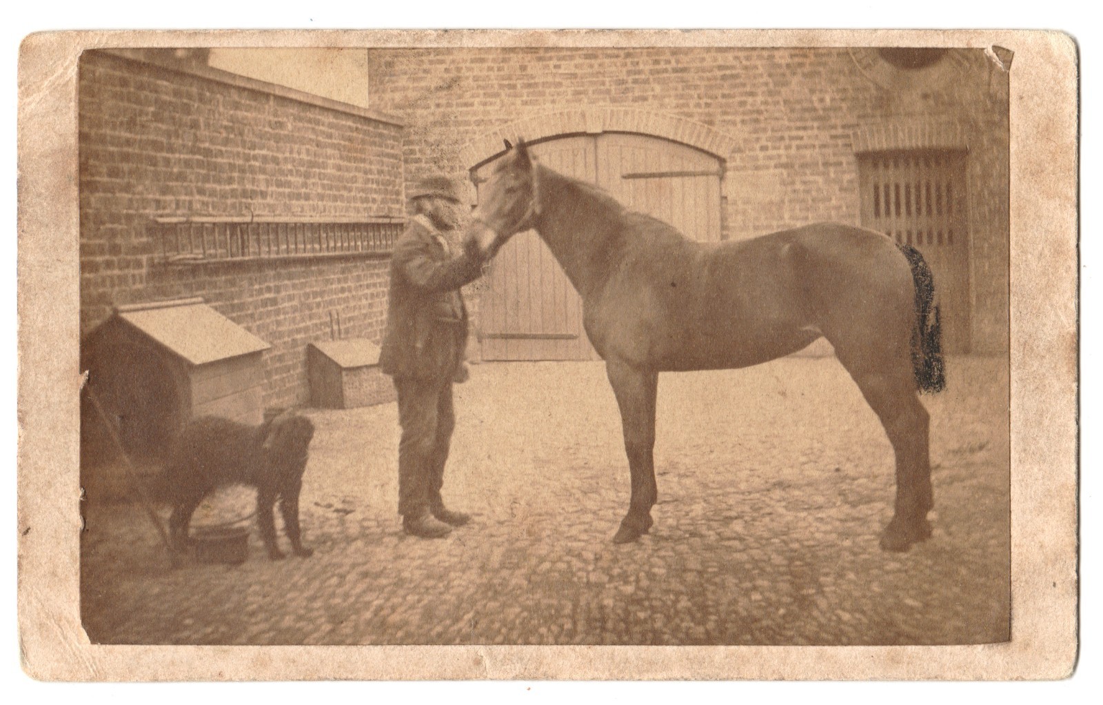 Man holding a horse in farmyard with his dog circa 1875 Photo CDV