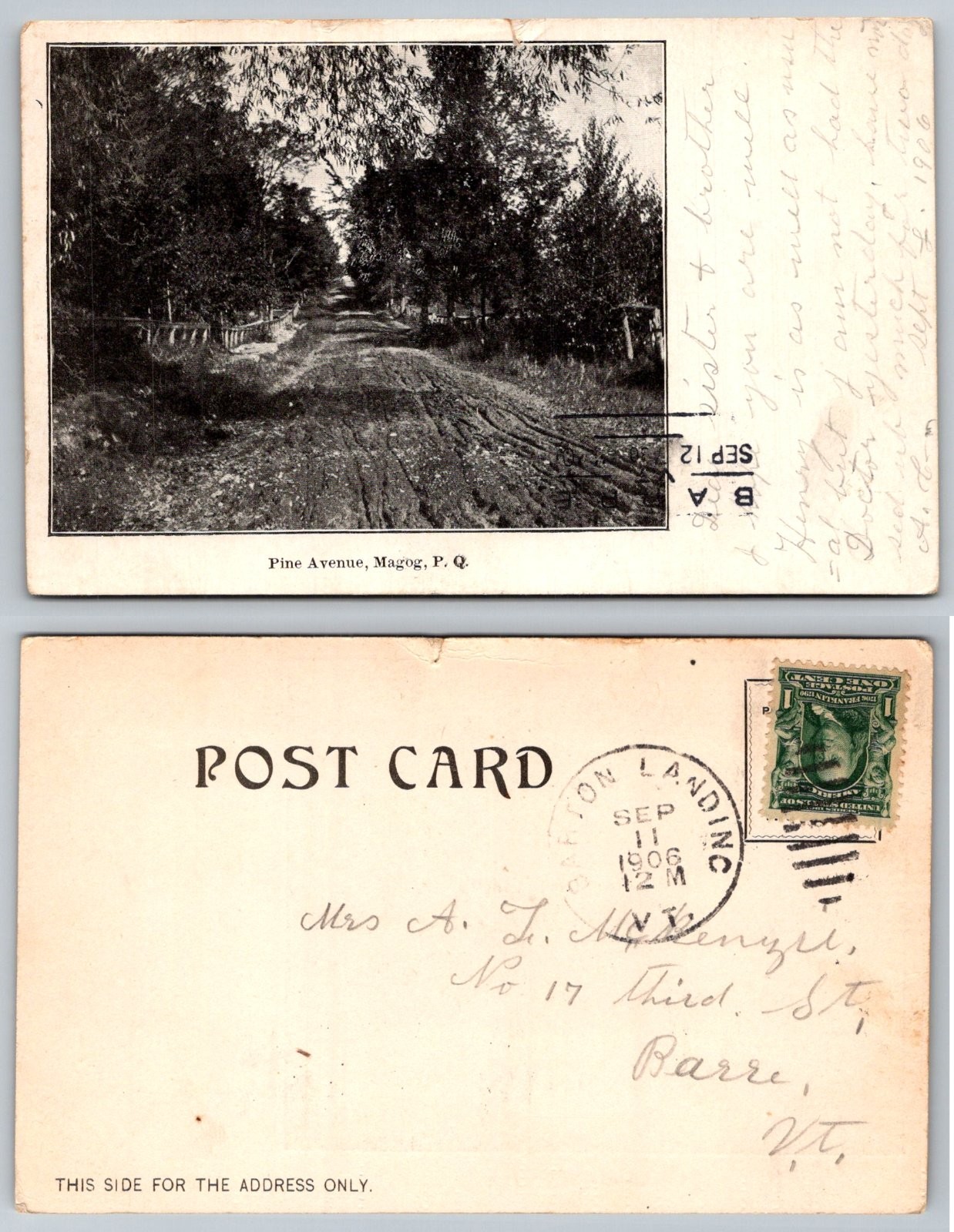 Magog Quebec Canada Pine Avenue Tree Lined Unpaved Dirt Road Postcard