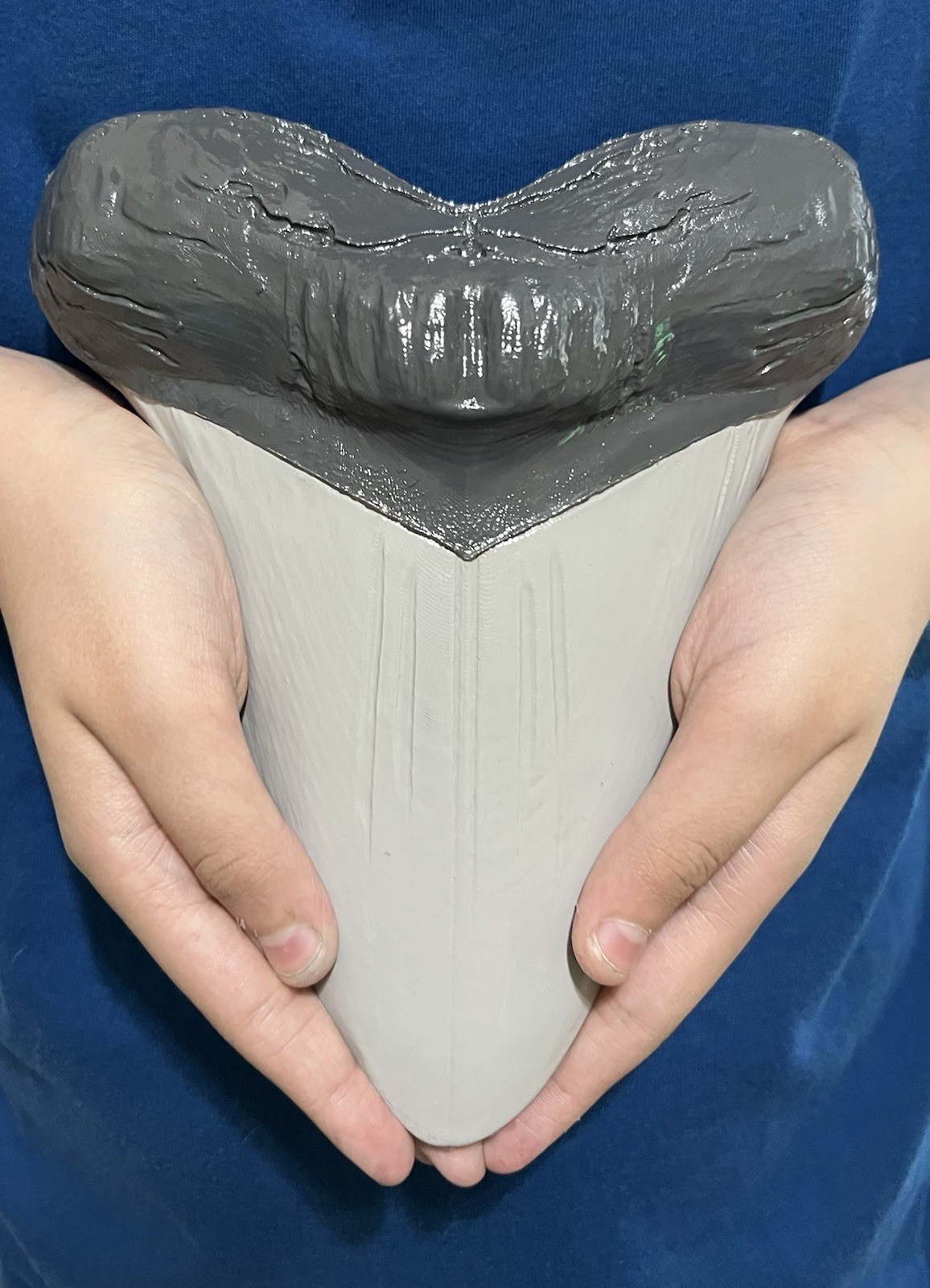 XXL Handcrafted Megalodon Tooth Display Replica - Museum Quality Fossil 8.25in