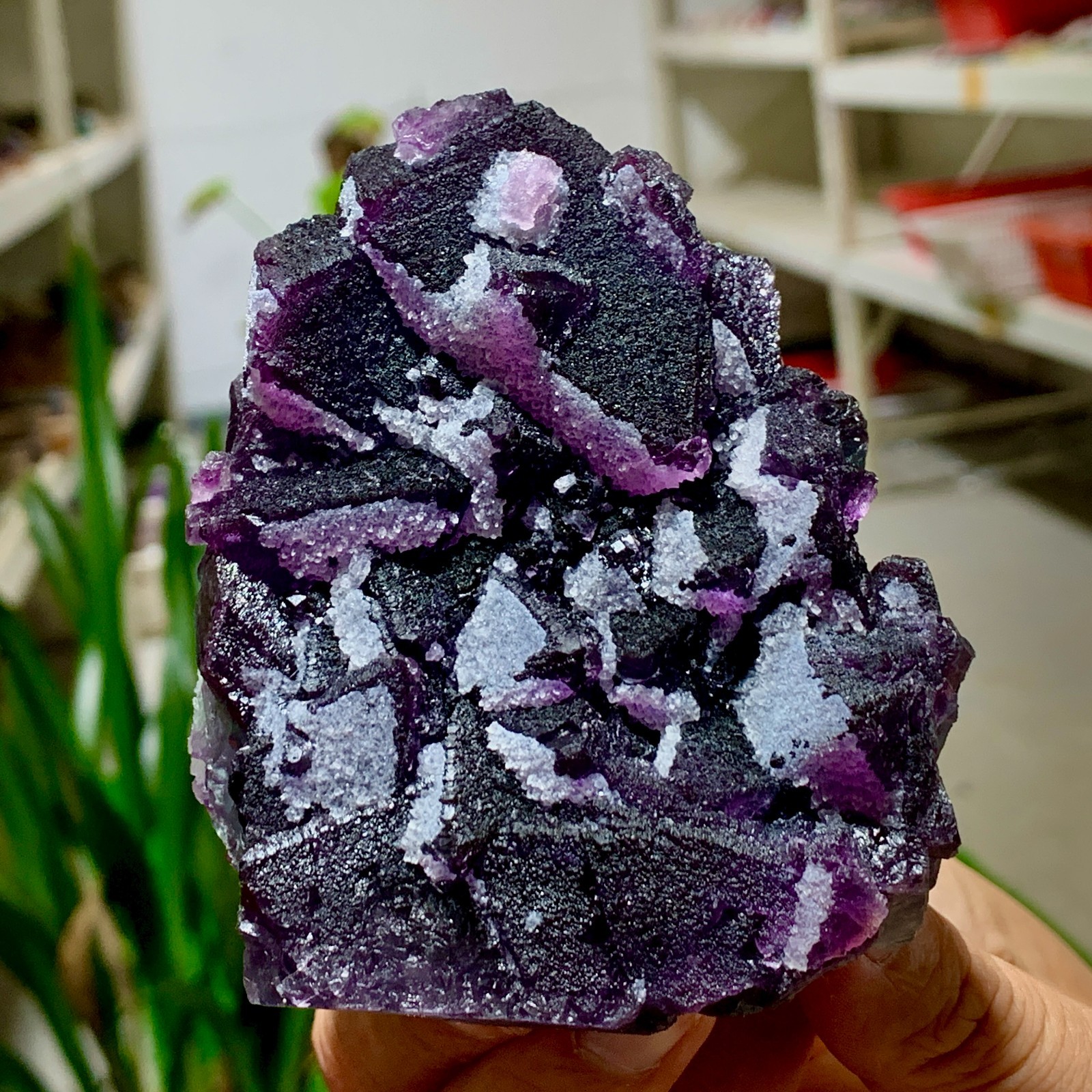 479G Natural Transparent Purple Cube Fluorite Mineral Crystal Specimen/China