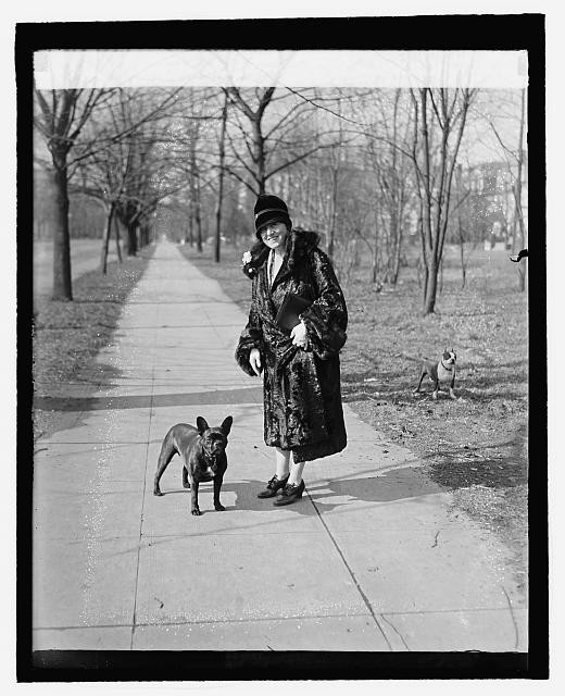 Photo:Mrs Mary Roberts Rinehart with Dogs, 1927 Park Portrait