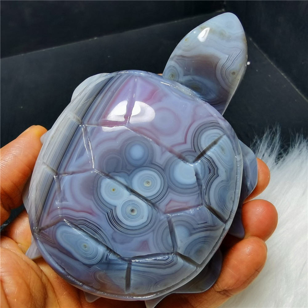 HOT291.6g Natural Polished Crimson agate hand carved turtle 80A51