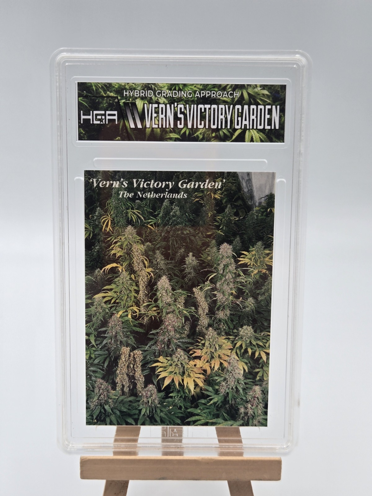 Custom Slab Vern\'s Victory Garden Inline Hemp Cards Series ll 1996 Marijuana HGA