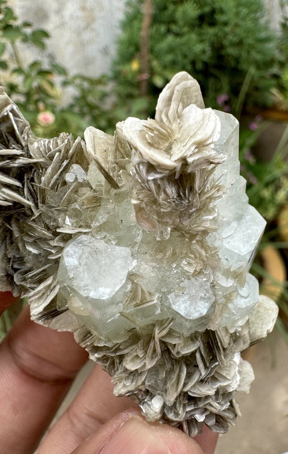 360 CTs Natural Beautiful Aquamarine Crystal Cluster With Muscovite Specimen