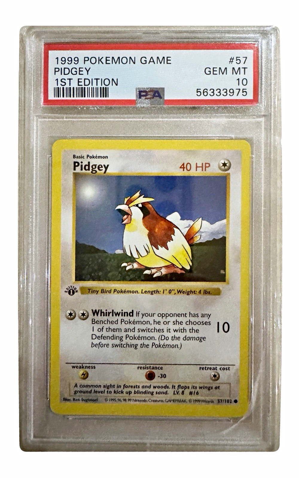 1999 Pokémon Base Set Pidgey — 1st Edition Shadowless — PSA 10 GEM MINT