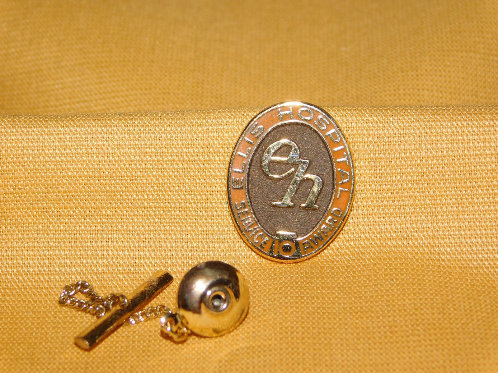 VINTAGE ELLIS HOSPITAL 10 YEAR SERVICE AWARD PIN