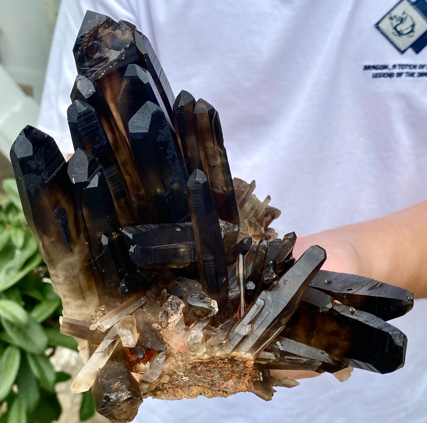 2.8LB Natural smoky black quartz cluster crystal mineral specimen healing.