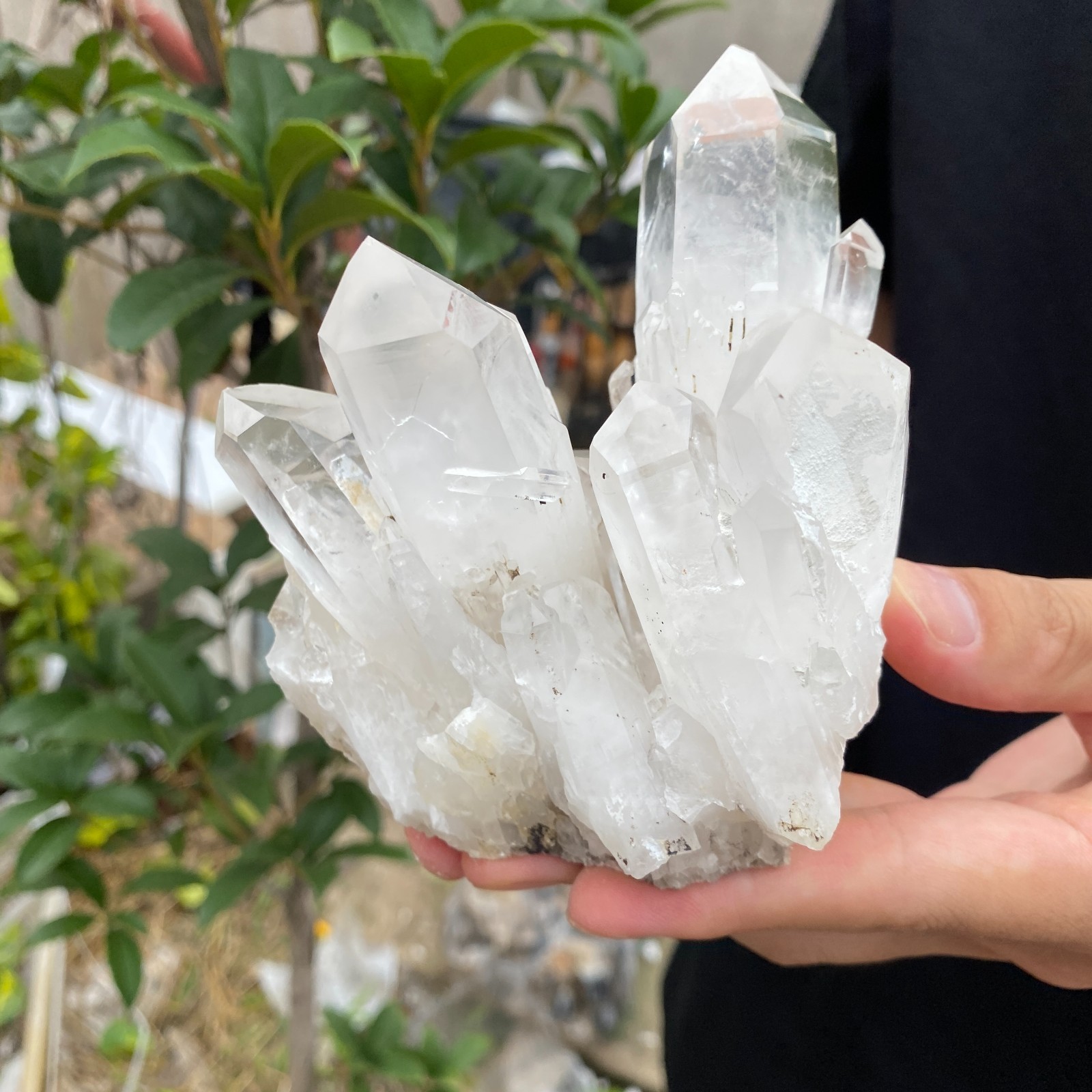 1.6LB Natural Clear White Crystal Quartz Cluster Rough Healing Specimen