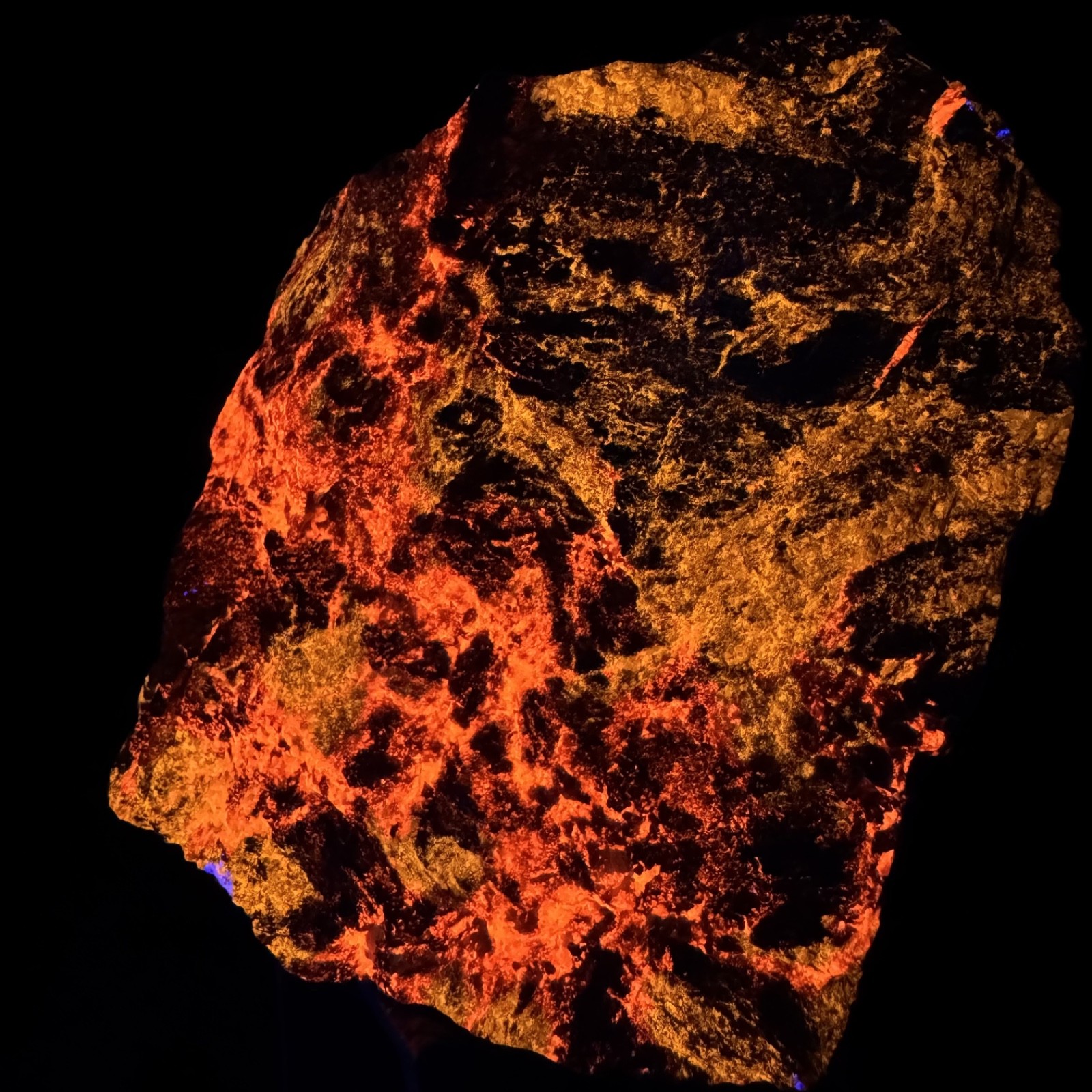 Superb Large Fluorescent Svabite: Långban Mine, Värmland County, Sweden