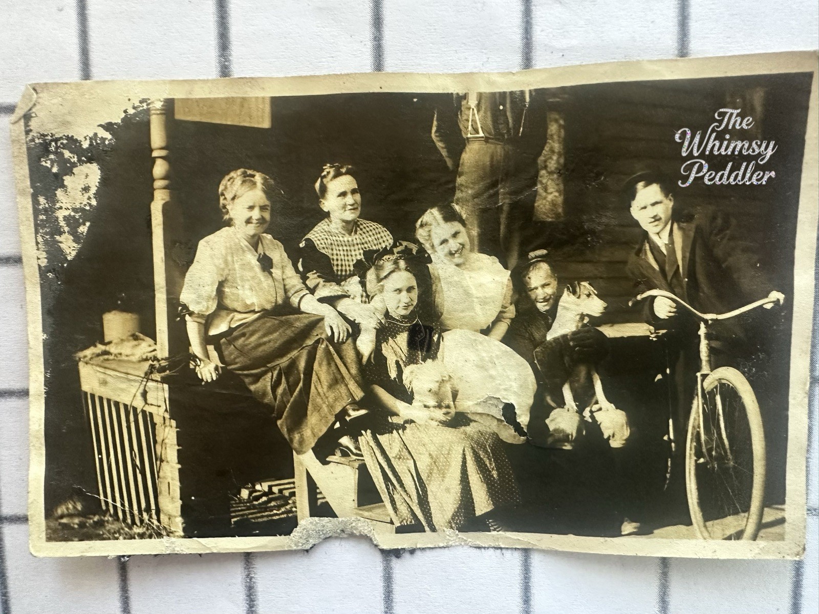 Vintage 1910s Family Group Photo Porch Bicycle Dogs Women Men Snapshot