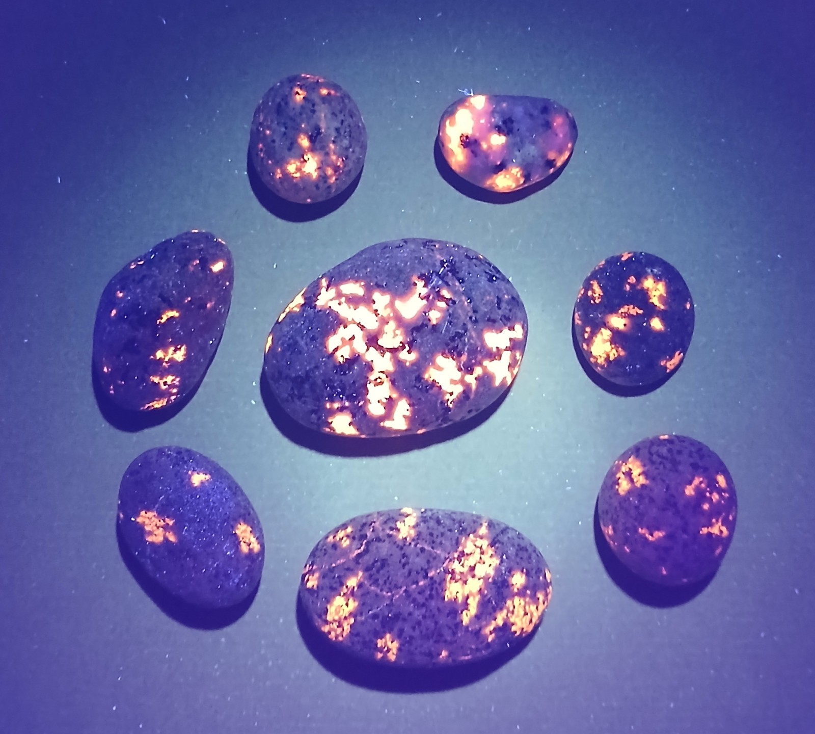 Fluorescent Sodalite (Yooperlite)  8 Bright Lake Superior Yooperlites 3 oz Total