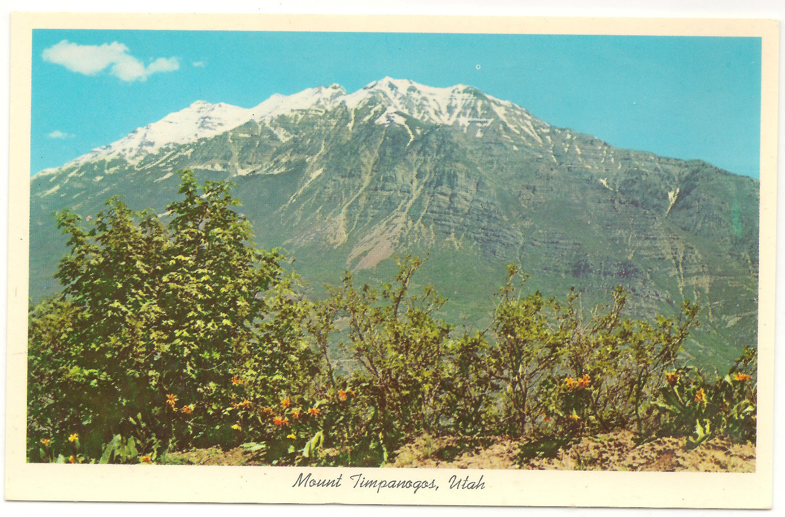 Mt. Timpanogos, Near Provo, Utah Unused/Unposted Vintage c1950's Postcard