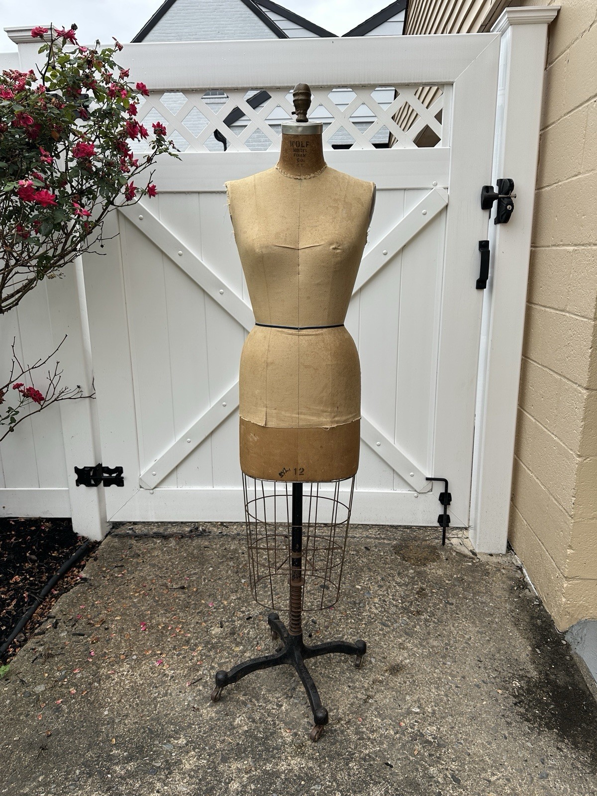 Antique Vintage 1960s Wolf Dress Form Size 12
