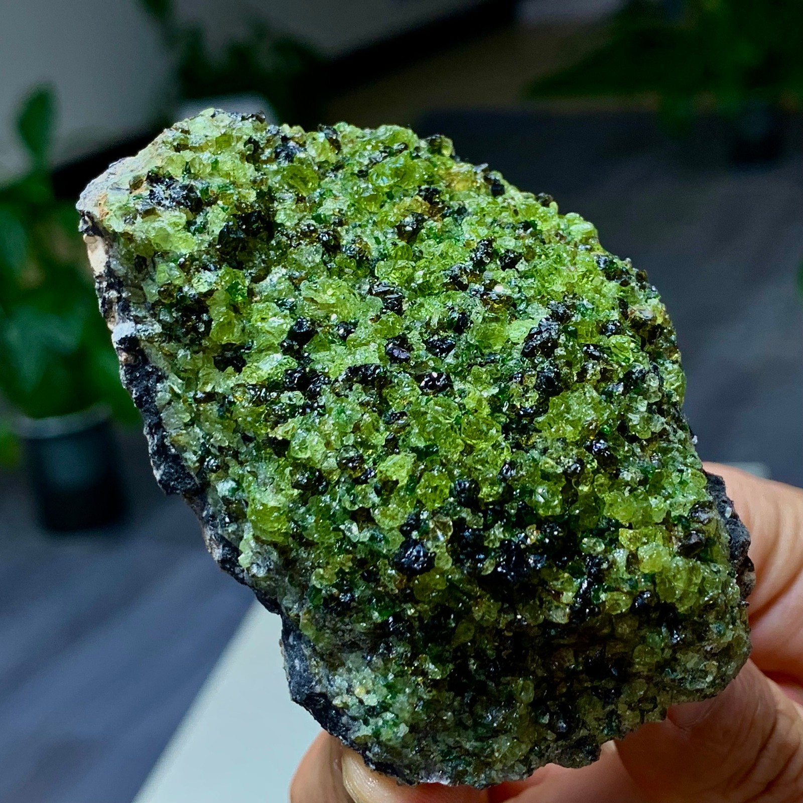200G Natural and rare beautiful museum grade olive green olivine crystal