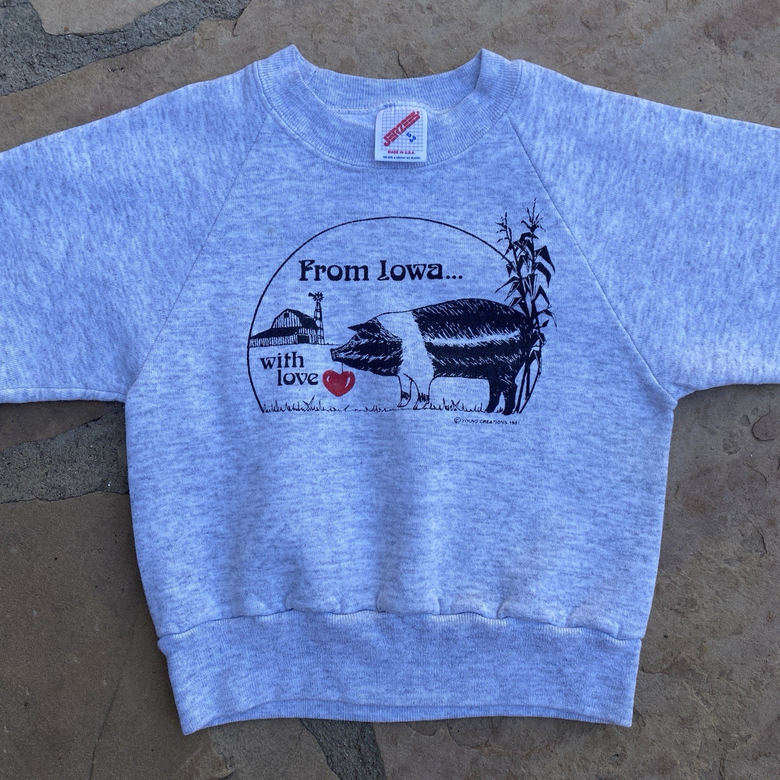 Vintage Kids Iowa Tourist Souvenir Sweatshirt Grey Pig Farm Small 6-8 80s 90s