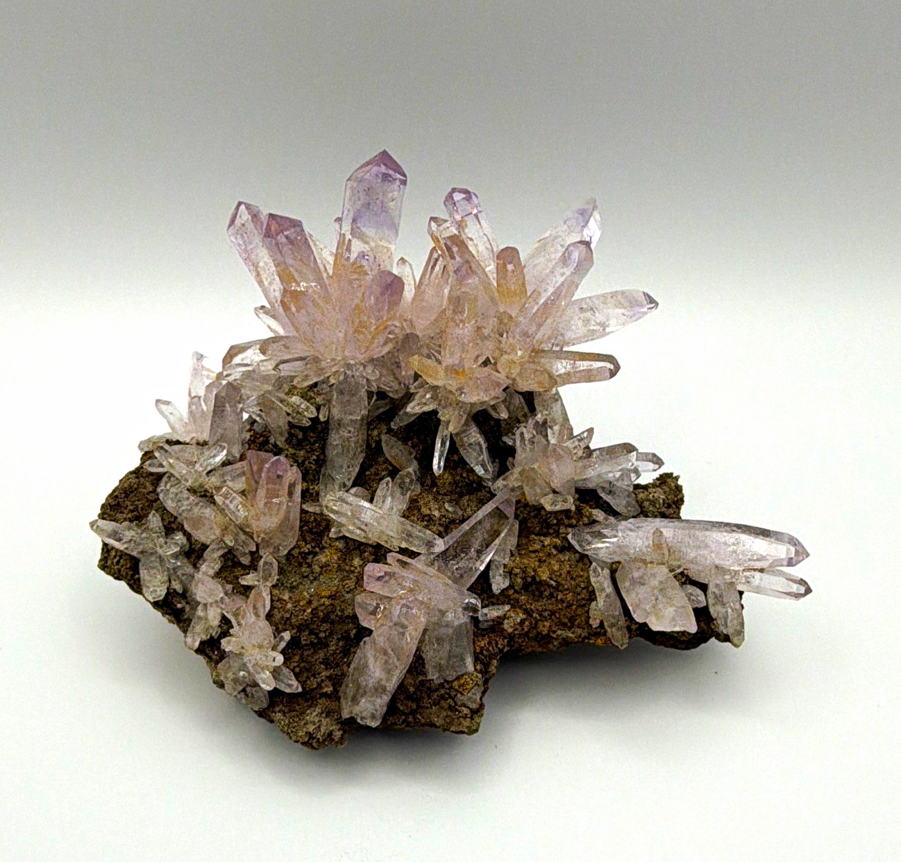Vera Cruz Amethyst (Las Vigas Mine) Cluster on Matrix Mineral Specimen