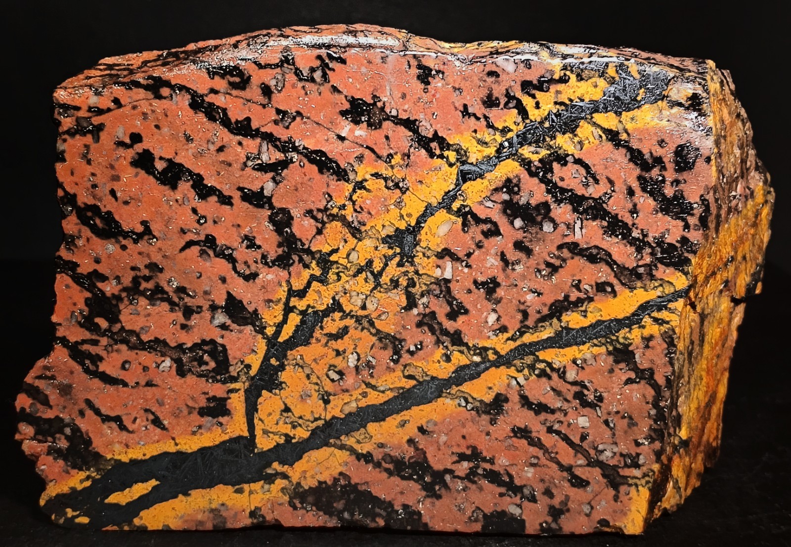 Shepard's Fire Specular Hematite Rhyolite Porphyry 2lb 12.1oz polished  Missouri