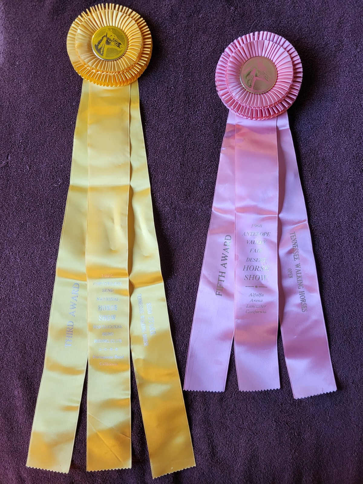 Tennessee Walking Horses Horse Show Ribbons Awards Equestrian Events 1967 & 1968