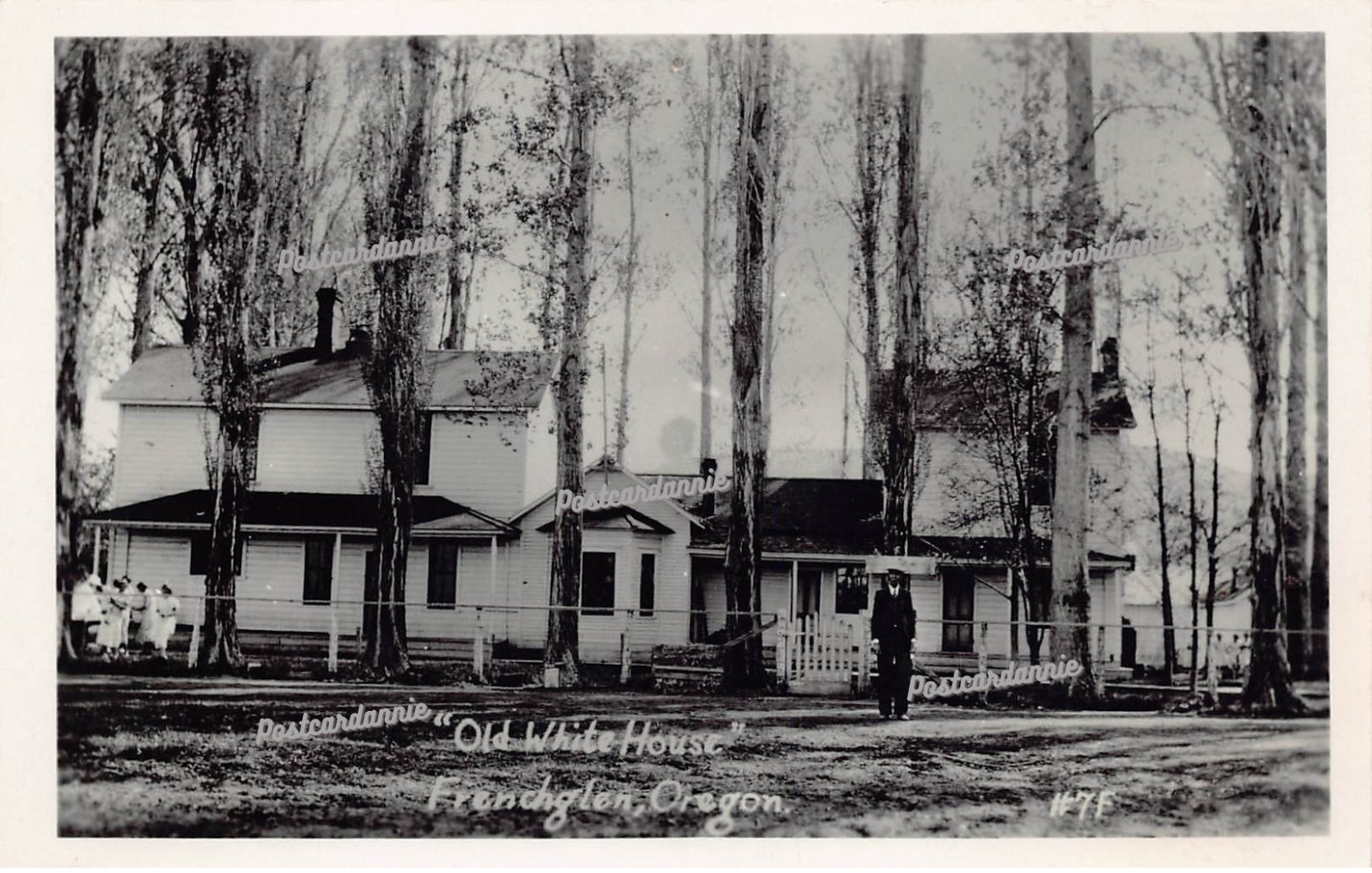 RPPC Frenchglen OR Oregon Peter French Cattle Ranch Farm Photo Vtg Postcard C27