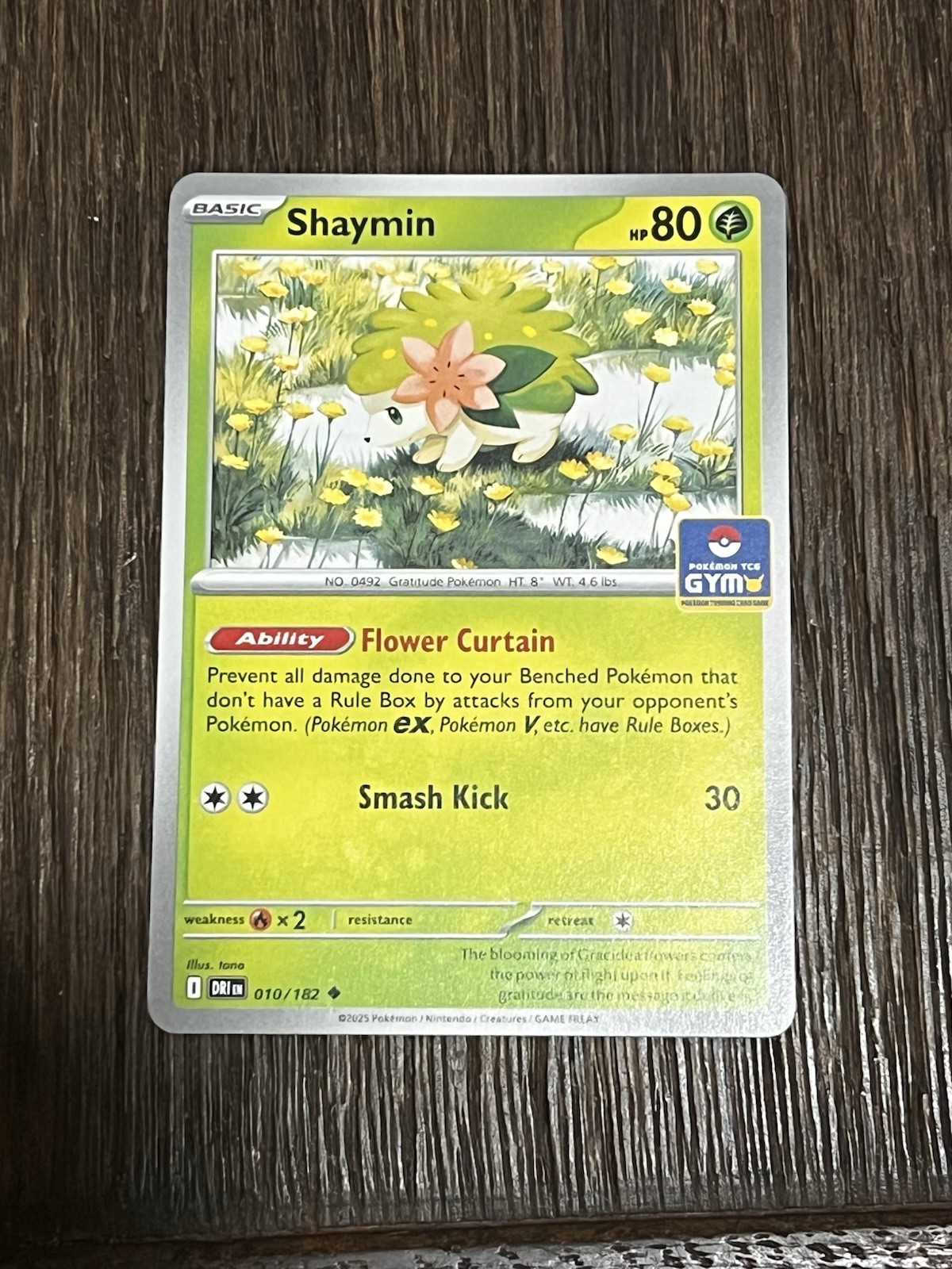 Shaymin 010/182 Asia Exclusive GYM Promo Pokemon TCG