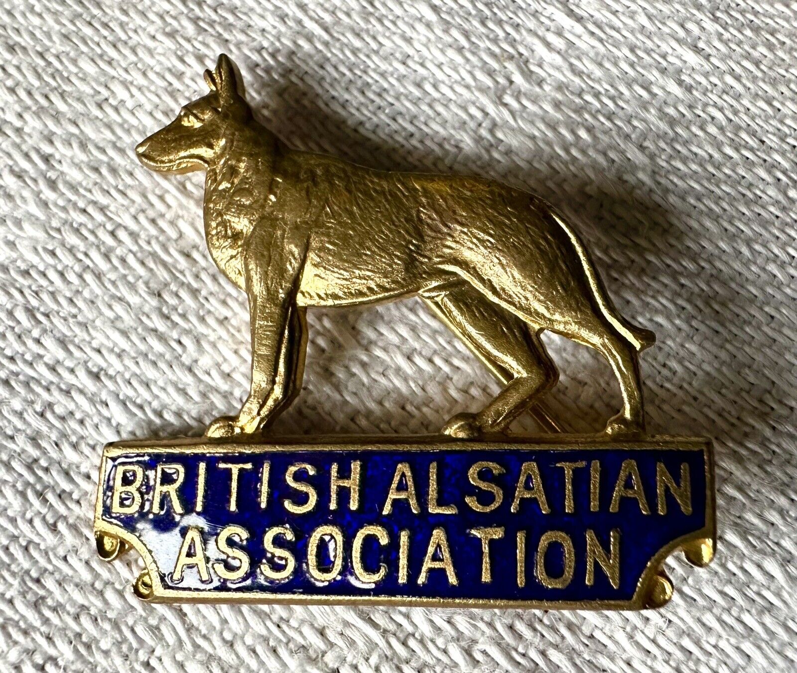 Vintage British Alsatian Association dog GSD Gilt Badge