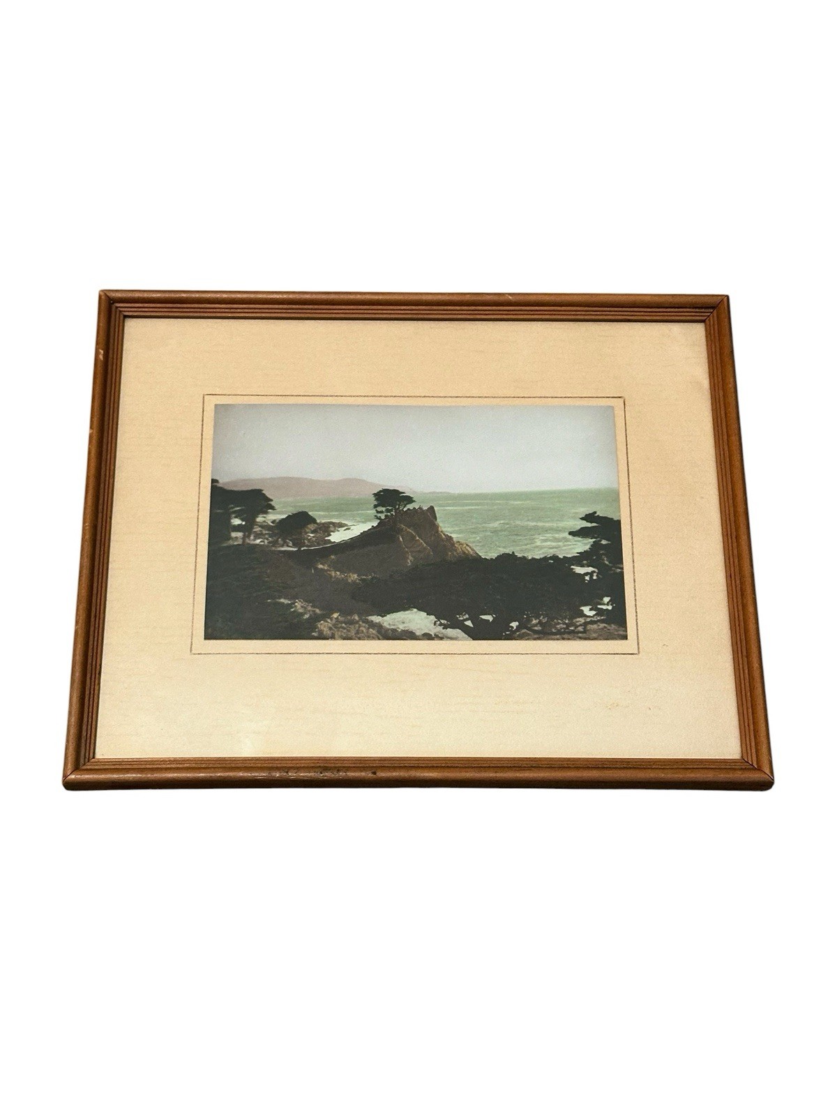 Antique 1900’s Hand Tinted Photo Lone Cypress Pebble Beach, Wood Framed