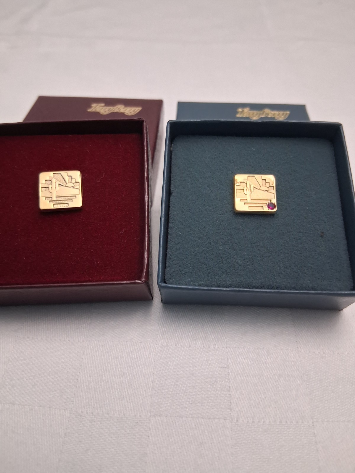 VTG Terry Berry Service Award lapel pin 24k GP set of 2  - 