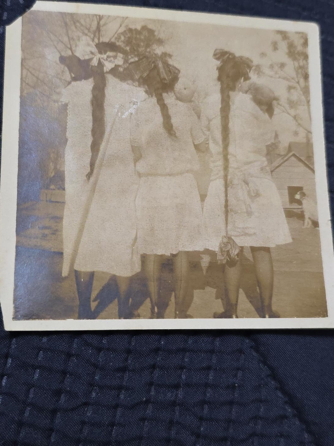 Antique Photo 3 Girls Giant Hair Bows Long Braids Edwardian 1910s Back View