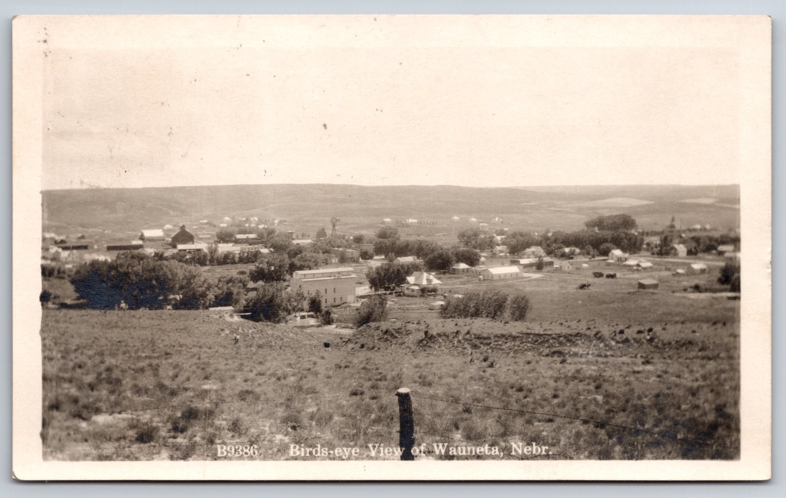 Wauneta Nebraska Birdseye View Town Zercher Real Photo RPPC