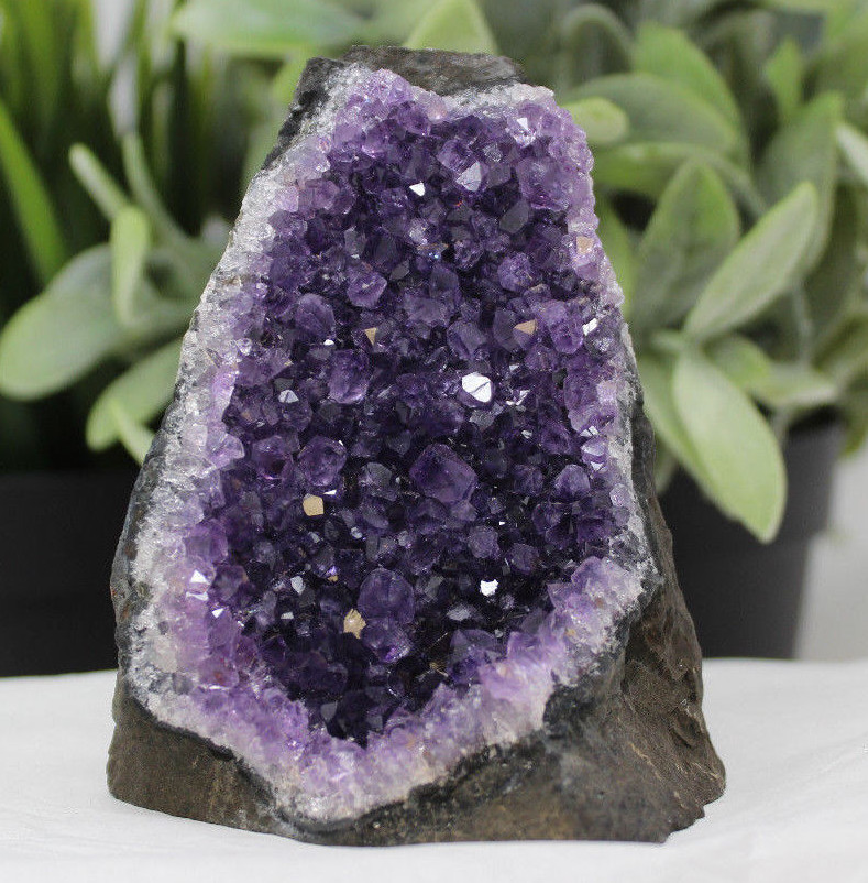 HUGE Uruguayan Amethyst Cut Base Clusters 1–1.8 lb 'A' Grade Free Standing