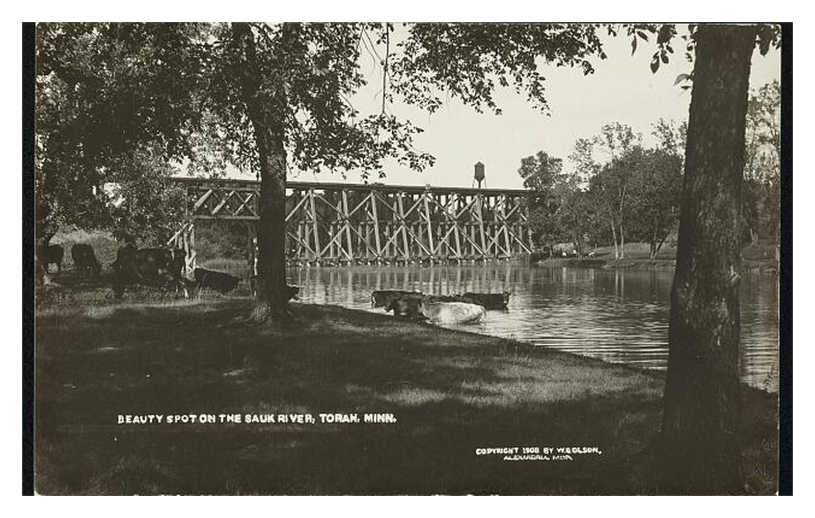Torah Minnesota Sauk River Standard Postcard