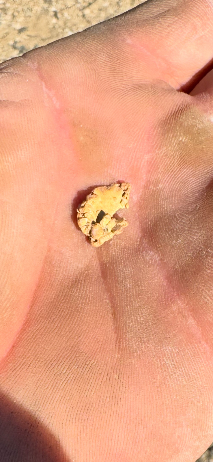 raw crystalline gold specimens