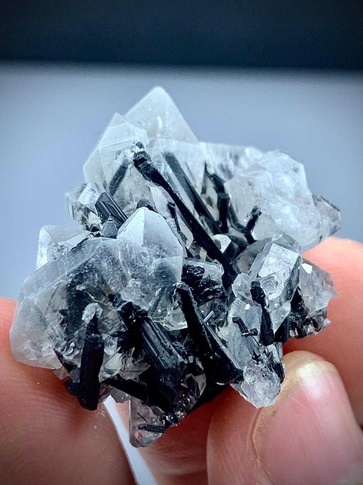 17-gram Natural Tourmaline Crystal Combine Multiple Terminated Quartz Specimen