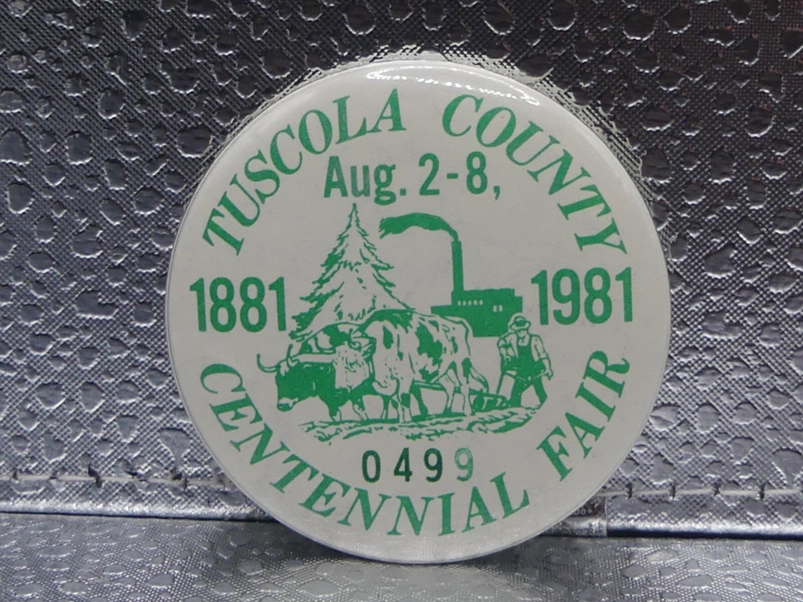 Tuscola County Centennial Fair August 2 - 8, 1881 1981 Caro 0449 Pinback Button