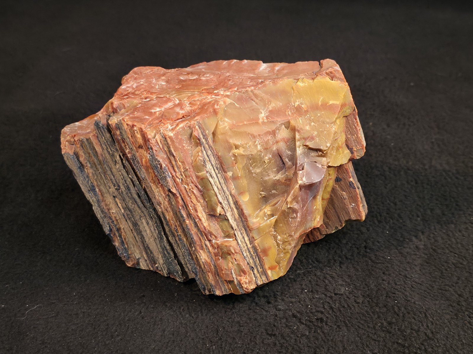 2lb 15oz Beautiful Chunk Of Rainbow Petrified Wood From Northeastern Arizona