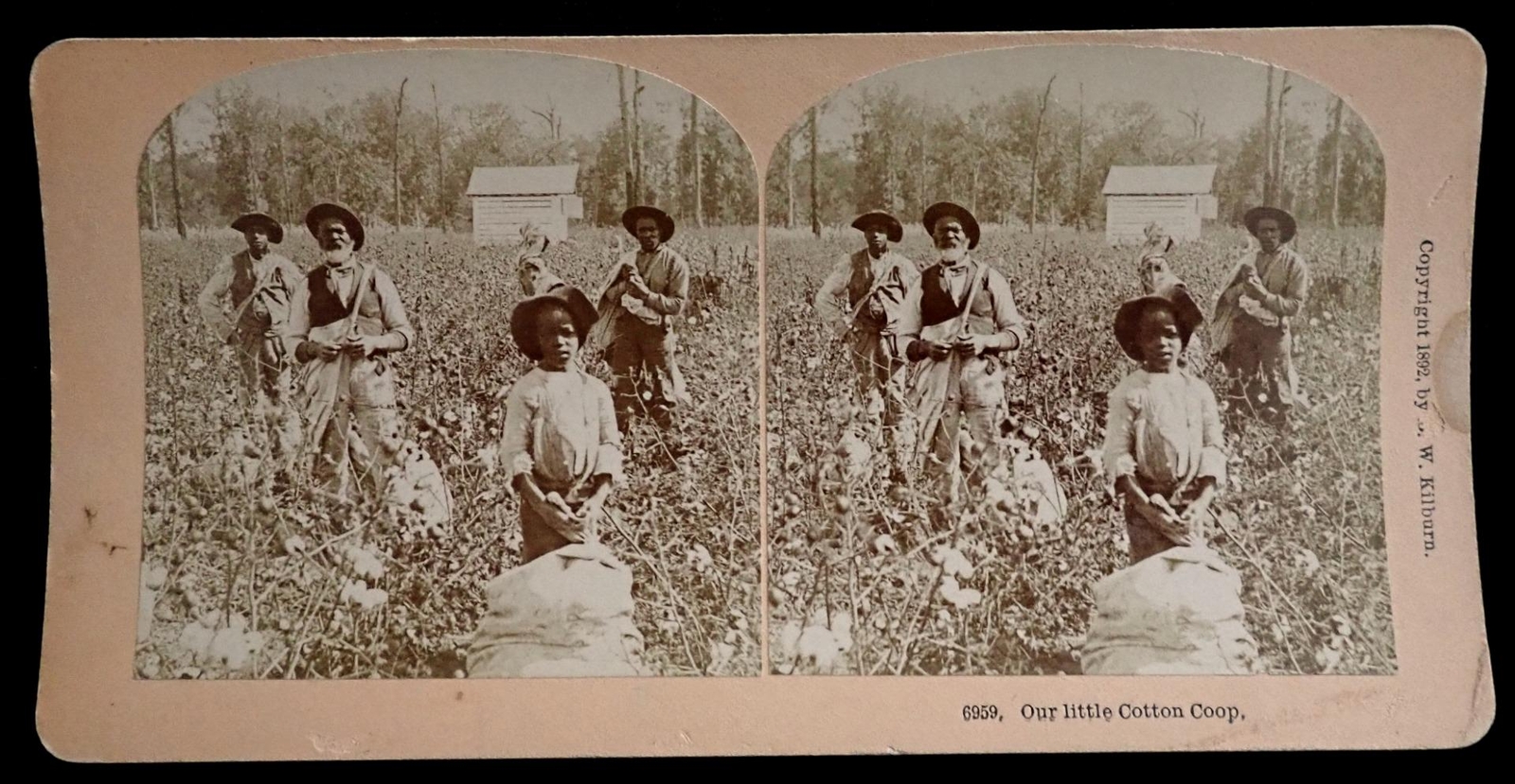 VERY RARE ANTIQUE Real Photo Cotton  Pickers Kilburn Stereoview Stereoscope