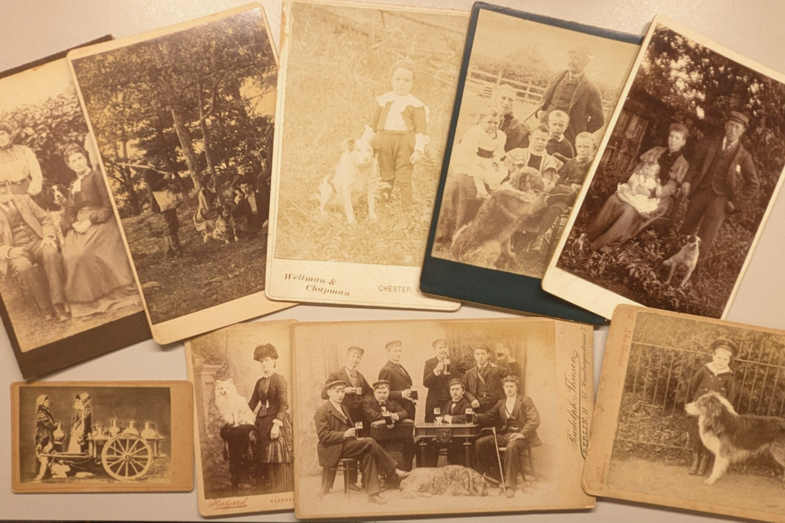 (9) Dog Photographs Cabinet Card CDV Pet Animal