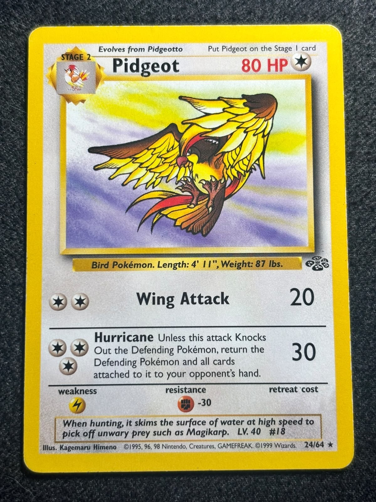 Pidgeot 24/64 Pokemon Card 1999 Jungle Set Original WOTC Non Holo Rare LP