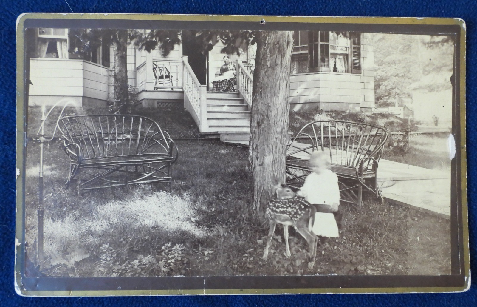 Antique 1890s 1900s Home Portrait PHOTO Girl Pets Baby Deer House Yard Porch Mom Antique 1890s 1900s Home Portrait PHOTO Girl Pets Baby Deer House Yard Porch Mom