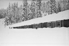 Mineral Lodge, Mineral, California 1950s view OLD PHOTO 2 picture