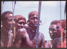 Postcard 1985 Africa Kenya Masai Warriors CONTINENTAL Size picture