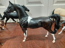 Peter Stone Arabian Horse Black And White picture