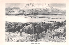 Charles M Russell 1929 Art Buffalo on the Move Montana Rockies 1963 Mag Image picture