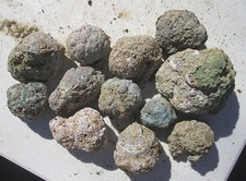 KILLER GREEN THUNDEREGG ROUGH LOT ~ 2 lbs. 8 ozs. lrg. = 3